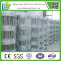 High Tensile Galvanized Field Fence Factory